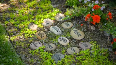 Cascading into Nature Photo